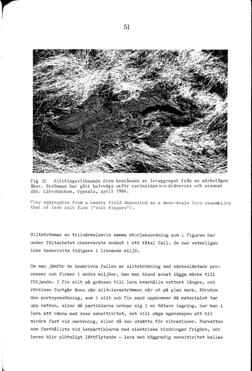 51 Fig 32 Sitfingeriknande form bestående av eraggregat från en närbeägen åker. Strömmen har gått havvägs utför ravinsidan men drä!"erats och stannat där. Librobäcken, Uppsaa, apri 1984.