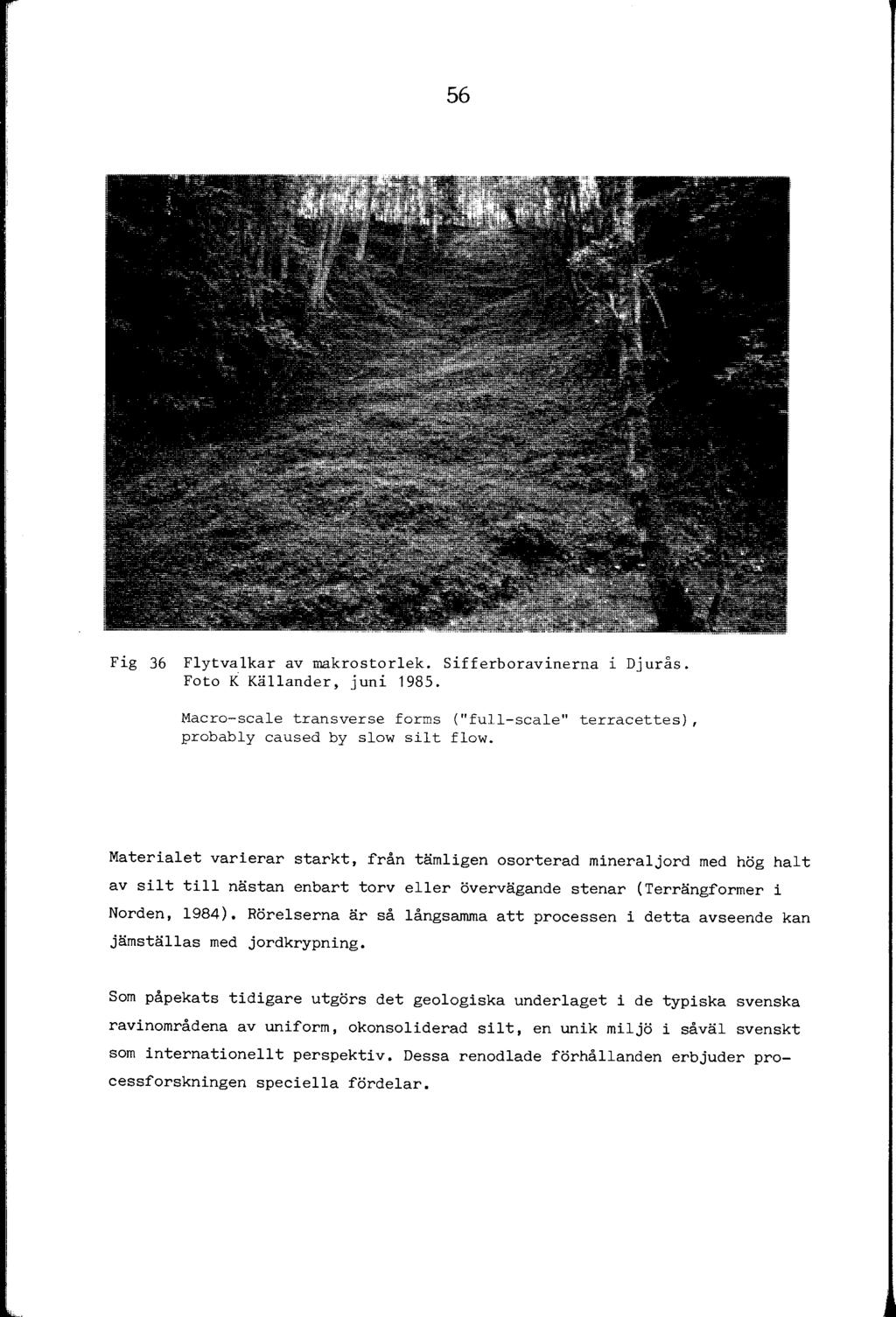 56 Fig 36 Fytvakar av rnakrostorek. Sifferbaravinerna i Djurås. Foto K Käander, juni 1985. Maero-seae transverse forms ("fu-seae" terraeettes), probaby eaused by sow sit fow.