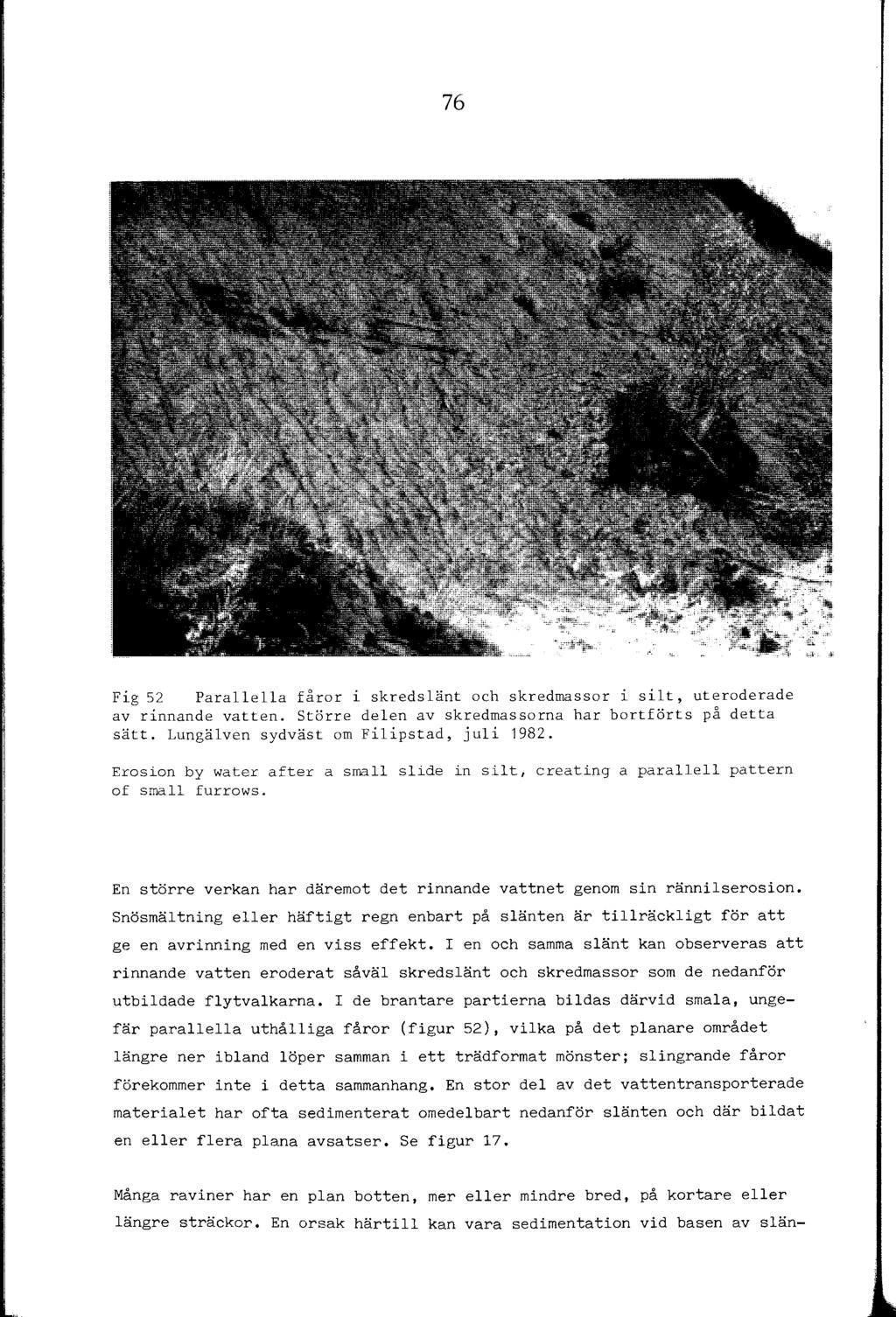 76 Fig 52 Paraea fåror i skredsänt och skredmassor i sit, uteroderade av rinnande vatten. Större deen av skredmassorna har bortförts på detta sätt. Lungäven sydväst om Fiipstad, jui 1982.