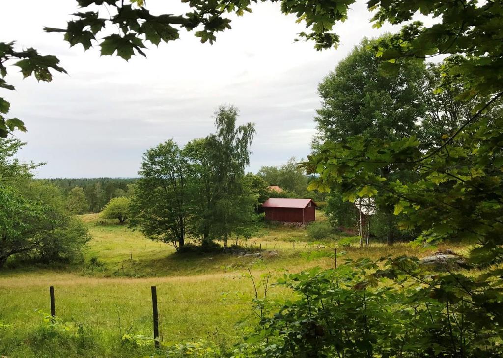 Kulturlandskapet med bete och slåtter Tiveden är inte bara skog och vatten.