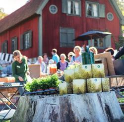 Underlätta för arrangörer att genomföra evenemang i Norrköping.