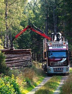 Antalet anställda ökade till 413 (409) främst på grund av utökade inköpsområden för virke inför starten av Bravikens Sågverk samt satsningen på biobränsle.