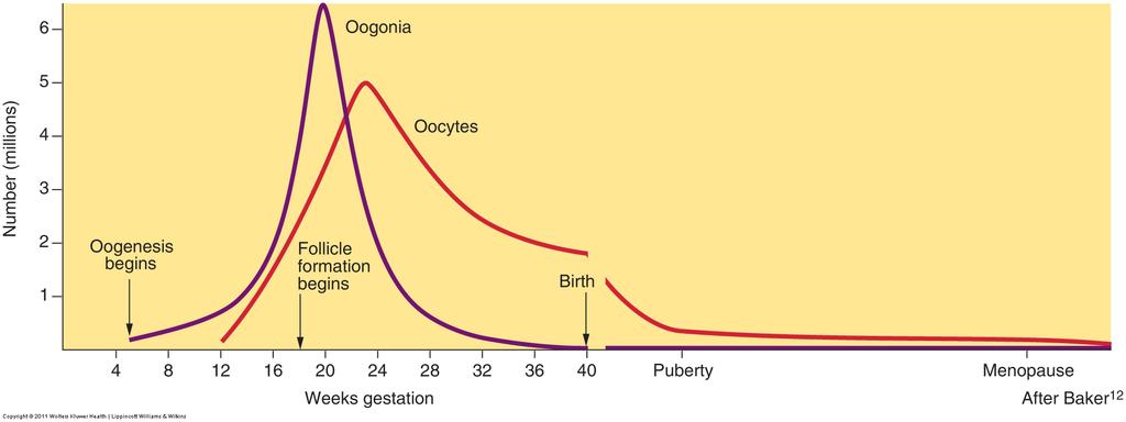 ovarialreserv, OR kvarvarande antal ägg och deras kvalitet minskar med stigande ålder skillnad