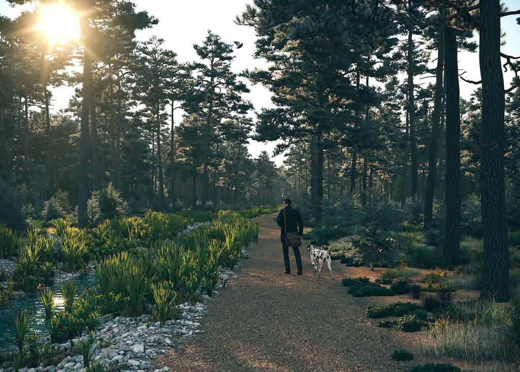 ÄNGSBÄCKEN En naturlig bäck ska projekteras och