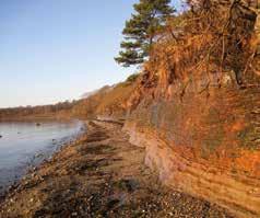 Berggrunden inom Helsingborgs kommun består till största delen av sediment som sandsten, skifferleror och leror som bildades under övergången mellan Trias och Jura för cirka 200 miljoner år sedan.