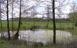 Mossar, märgelgravar och andra våtmarker Våtmarker definieras som mark där vatten under en stor del av året finns nära, under, i eller strax över markytan samt vegetationstäckta vattenområden.