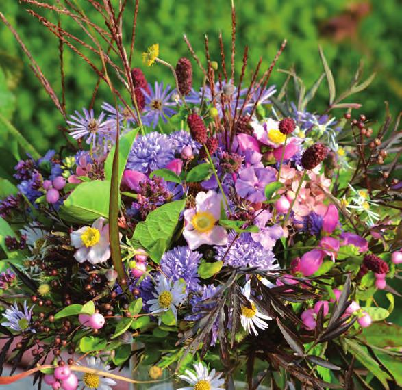 Plantera din sommarbukett Sommarkänsla både inne och ute Plantera dem tillsammans eller bland trädgårdens andra växter.