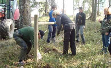 Därutöver har 5 flockar samt 25 revirmarkerande par dokumenterats, men utan årsvalpar. I övriga 5 revir har man funnit enstaka vargar.