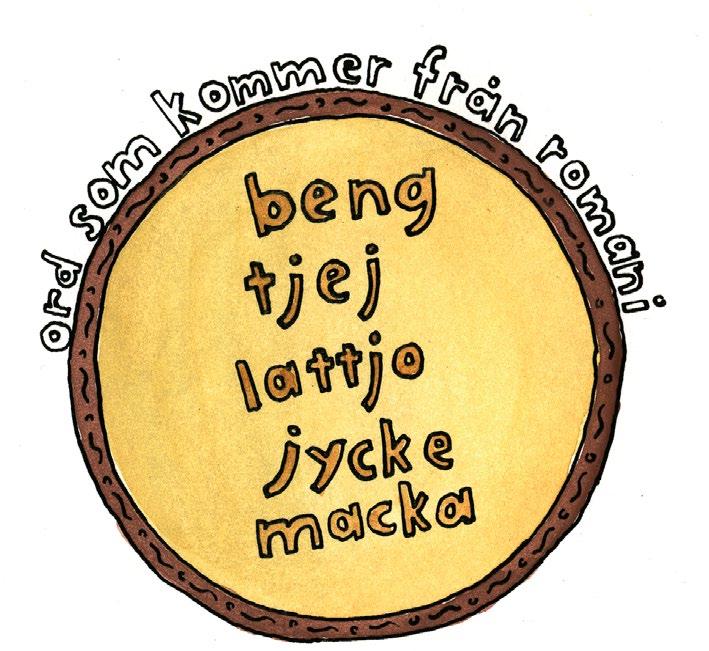 Som nationell minoritet har romerna fått ökad möjlighet till inflytande över frågor som rör dem själva och deras situation.