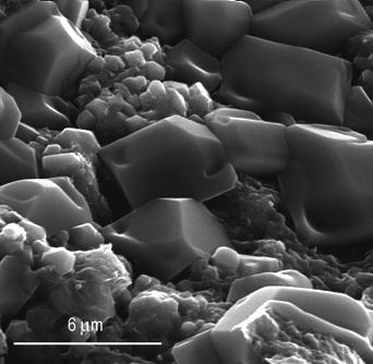 Scanning electron micrographs of precipitated salt in hydrothermal experiment.