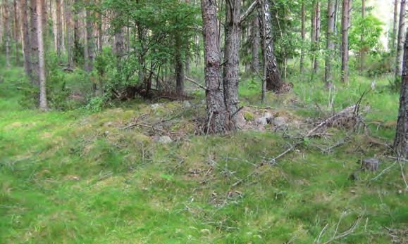 Närheten till domarringarna talar för att det skulle kunna röra sig om gravar, liksom deras väl avgränsade form, läget i terrängen talar för att det är röjningsrösen.