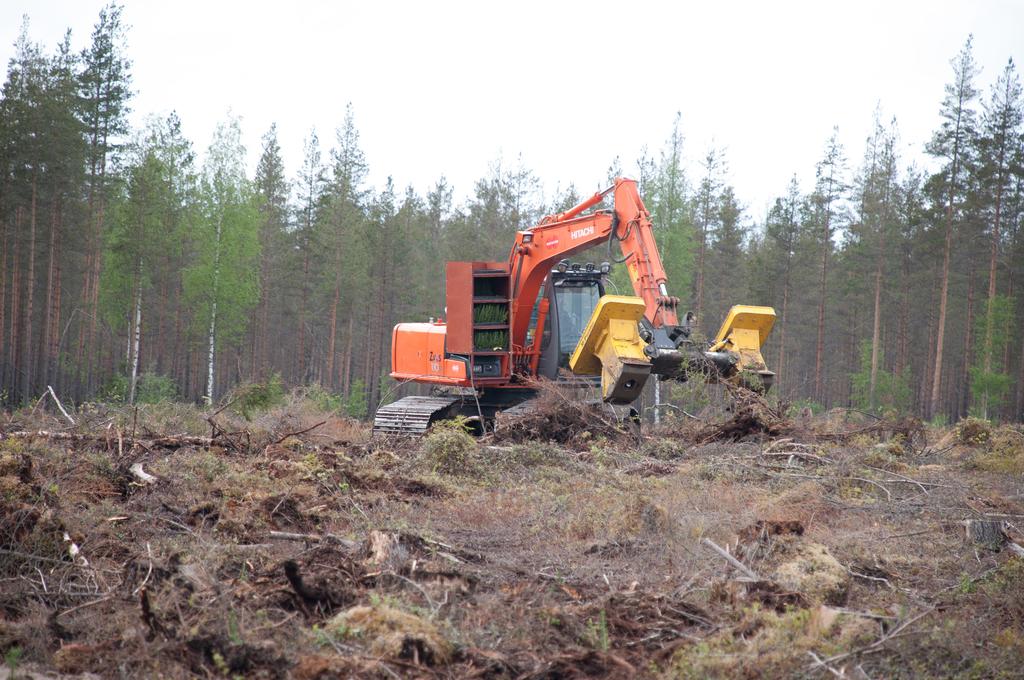 Maskinell markberedning eller, som på bilden, maskinell markberedning-plantering kan vara en tjänstebreddning som passar drivningsföretag.