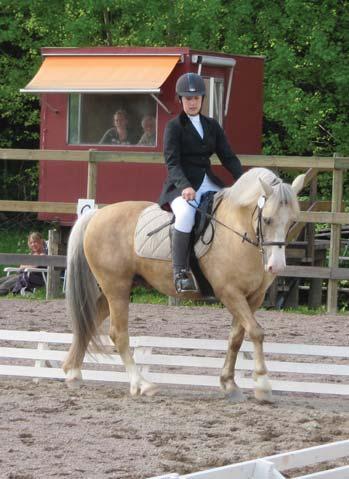 Vi hade tre klasser varav en var lagklassen. Varje lag har minst 3 st. ryttare, först rider alla lagens ryttare nr1, sedan nr2 osv.