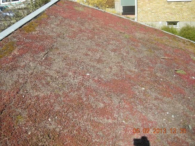 Erosionsproblem på jämnt lutande tak börjar vid nock och fortplantar sig i matt-skarvarna som ofta bildar små rännor. På tunneltaken börjar erosionen längst ner i de brantaste delarna. Bild 6 & 7.