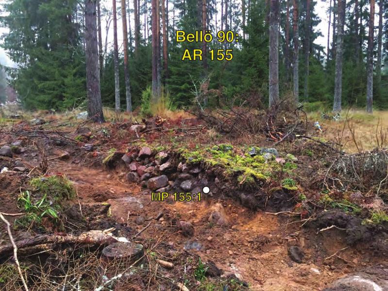 ARKEOLOGISK RAPPORT 2016:29 BILAGA 3 Figur 5. Profil genom röjningsröset AR 155 med den provtagna nivån markerad (MP 155:1).