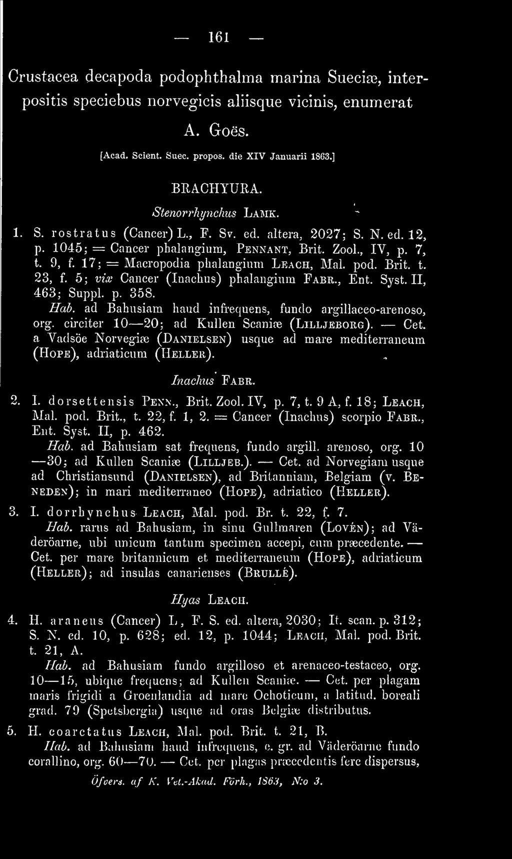pod. Brit. t. 23, f. 5 ; vix Cancer (Inachus) phalangium Fabr., Ent. Syst. II, 463; Suppl. p. 358. Hab. ad Bahusiam haud infrequens, fundo argillaceo-arenoso, org.