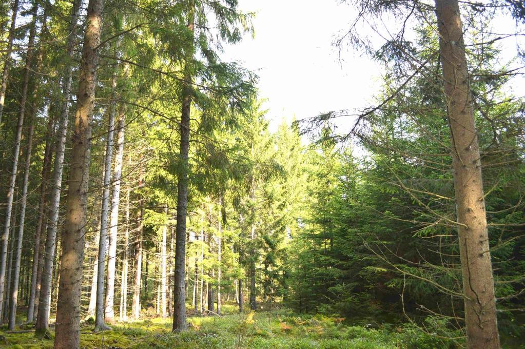 Lån och Inteckningar Fastigheten överlåts obelånad. Fastigheten är fri från inteckningar. Visning Intresserade har möjlighet att på egen hand besöka Fastigheten.