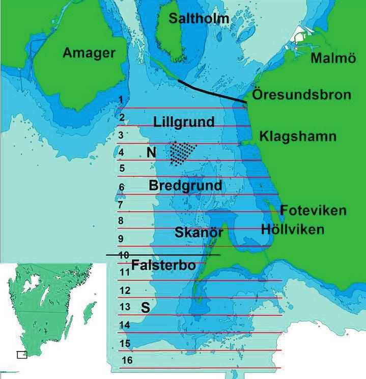 Study area Figure 1. Map of the southern part of Öresund and waters south of Falsterbo with the aerial survey lines (1 16). N = northern part and S = southern part.