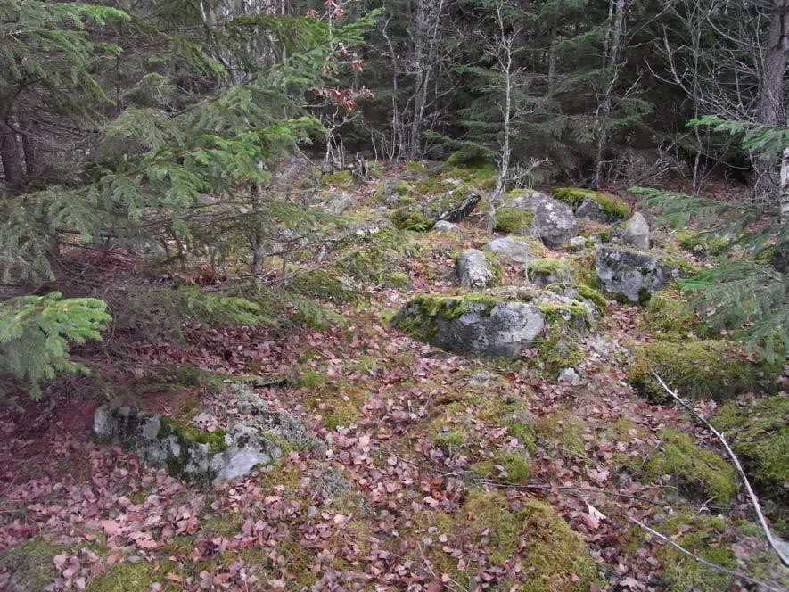 Resultat Sammantaget konstaterades två stensträngar i skogsmarken medan två stolphål och fyra härdar framkom koncentrerade i åkermarken. Inga fynd påträffades.