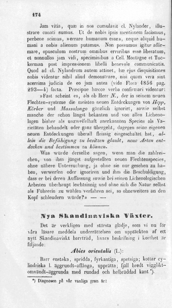174 Jatn vitia, quffi in nos cumulavit cl. Nyländer, Illustrare conati sumus.