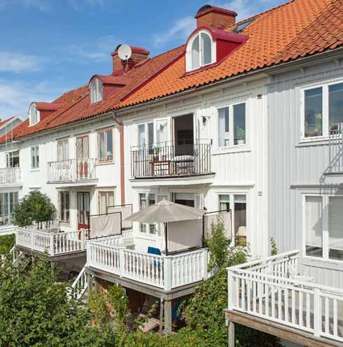 HÖSTNYTT FRÅN RIEKER.