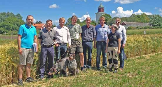 Försöksverksamheten i Sverigeförsöken och Animaliebältet Animaliebältet representerar en av regionerna inom Sverigeförsöken.