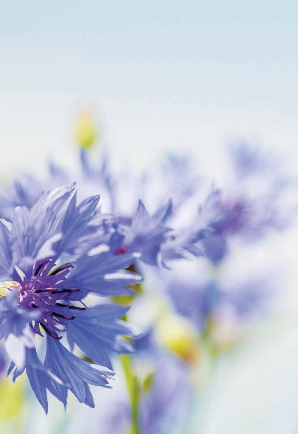 Bästa Ekeröbo! Vi vill önska dig en skön sommar! Vi ses till hösten då vi går till val. Vilka frågor tycker du är viktiga? Det här tycker vi bl.