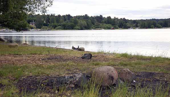 Skräpplockardagarna för förskolor och skolor är kärnan i aktionen.
