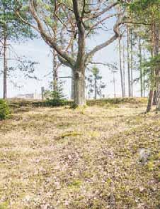 2011 byggdes ett gästhus om ca 30 kvm med egen uteplats och liten verkstad. Några minuters promenad till badbrygga och ev finns plats för båt.
