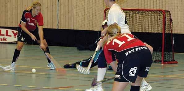Under Kristihimmelfärdshelgen deltog 30 baskettjejer i åldersgrupperna F01 och F00-99 från Mälaröarna i Göteborgs basketfestival vilket är Europas största basketturnering.