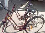 Jordfräs Bolens, bredd 50 cm, 7,5 hk 4-takt. Drivning fram och back. Mycket lite använd. Tel. 076-573 78 02. Nästan ny terrängcykel speed, Shimano 21 växlar. Pris 450 kr. Jan 073-073 48 77.