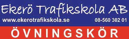 Kattis Pråmvägen 4a innergården, alldeles intill Ekerö centrum Jag behöver någon att prata datorer med!