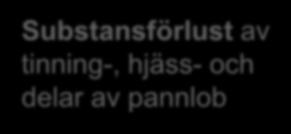 faktorer (+) Trauma Depression Åldersrelaterade (++) Biometaller Oxidativ