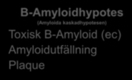 Proteinopati Neuronskada B-Amyloidhypotes