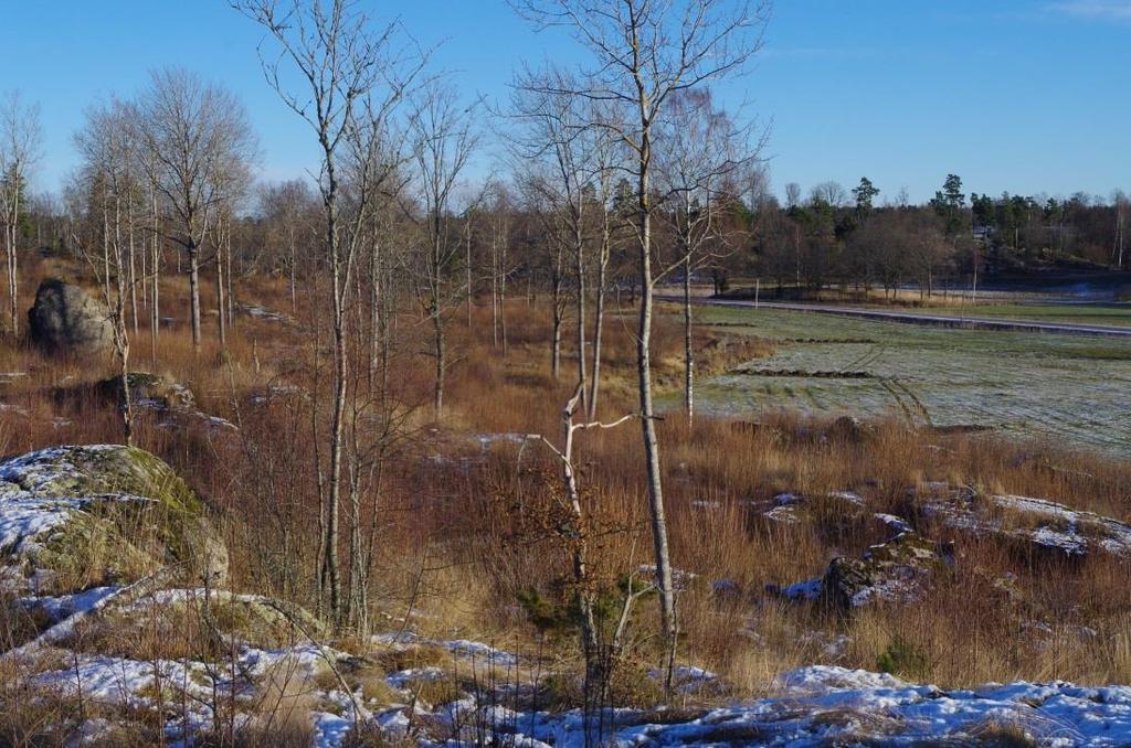 Tidigare undersökningar Inför nydragning av riksväg 49 hittades i samband med den arkeologiska utredningen 2004 och 2005, tre boplatser från stenåldern i närheten av det nu aktuella utredningsområdet