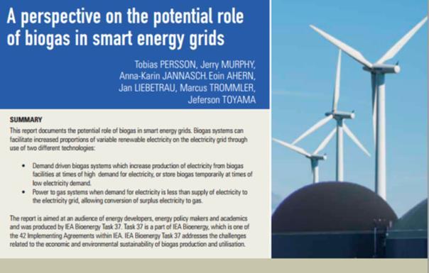 Energisystemtjänster och råmaterial IEA Bioenergy-rapport från Task 37 Biogas