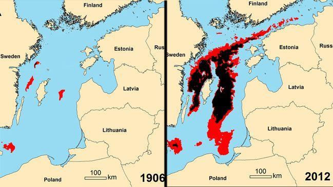 Övergödning spelar viktig roll i Östersjöns bottendöd Svart: Död havsbotten; Rött: Låg