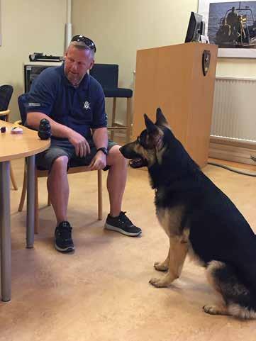 När hunden är 15 18 månader gammal får den göra ett grovt lämplighetstest.