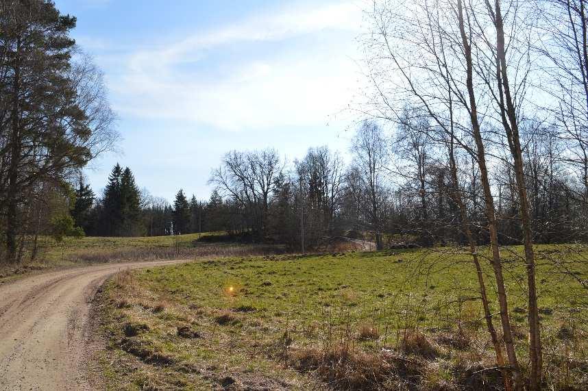 Se vidare bifogade utdrag ur skogsbruksplanen. Åker och betesmark (Inägomark) Inägomarken bedöms enligt skogsbruksplanen till ca 3,2 ha och ligger i huvudsak omkring gårdscentrum.