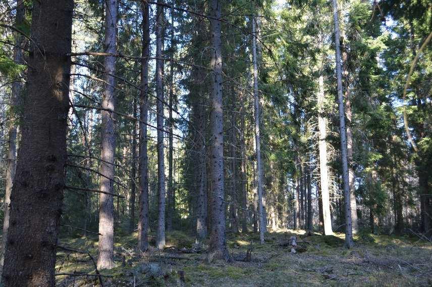 Därutöver finns mark för tomt, väg, kraftledning och mark för gårdscentrum om tillsammans ca 2,4 ha. Övrigt Natur och kultur Naturvärde 1,3 ha, igenväxande hage, finns registrerad på fastigheten.