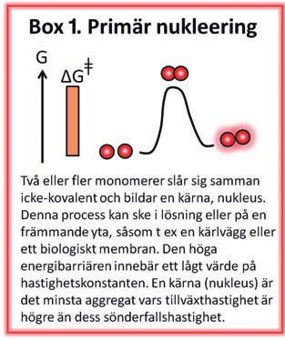 Alzheimers steg sker under alla tre faserna, fast i olika proportion.