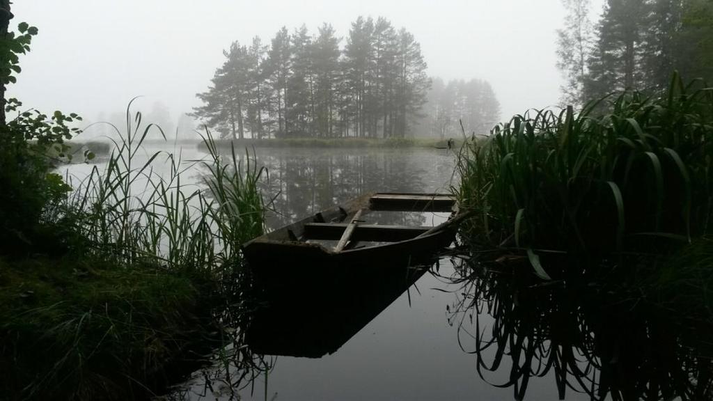 Vägledning för djurskyddskontroll