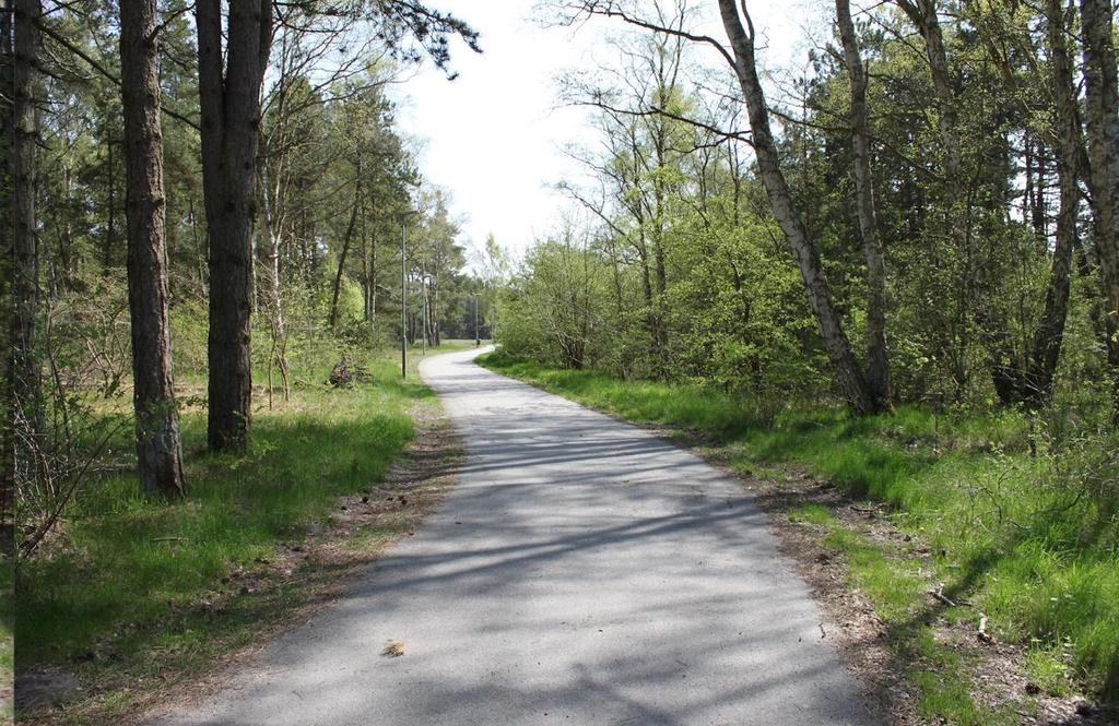 Figur 29: Varierad vegetation både åt öst och väst. Den Norra delen kan ses som en blandning av den Södra och den Mellersta delen.