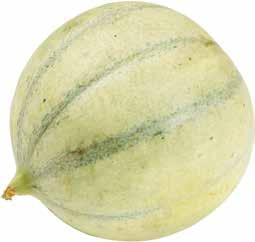 12 :- 6-pack Meloner