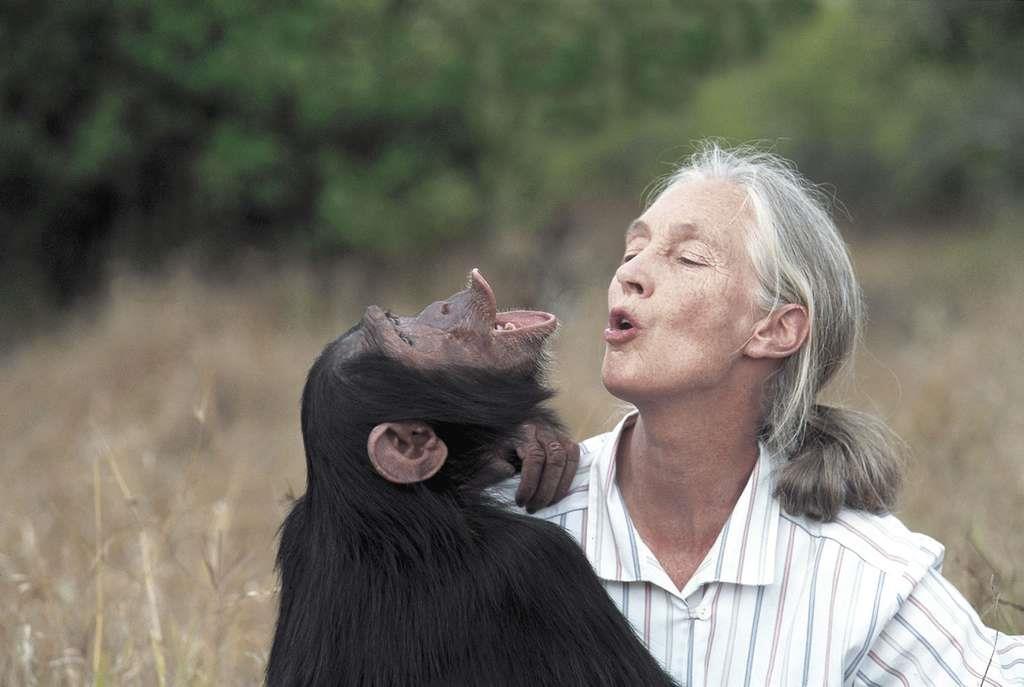 The Jane Goodall Institute "We are a global community conservation organization that advances the vision and work of Dr. Jane Goodall. By protecting chimpanzees and inspiring people to conserve the natural world we all share, we improve the lives of people, animals and the environment.