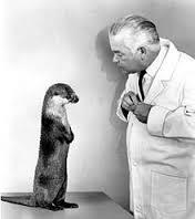 THE MISBEHAVIOR OF ORGANISMS Keller Breland and Marian Breland, American Psychologist (1961) "After 14 years of continuous conditioning and observation of thousands of animals, it is our