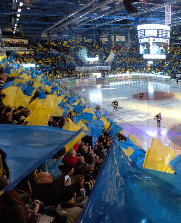 DEN BLÅ VÄGEN. Den blå vägen är en genomarbetad plan som beskriver verksamheten för de olika åldrarna från Hockeyskolan till U16.