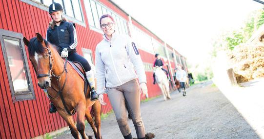 Ridskoleverksamheten Flera nya hästar och ponnyer har köpts in även under 2016. Några av de äldre hästarna och ponnyerna har sålts till nya ägare för en lugnare tillvaro.