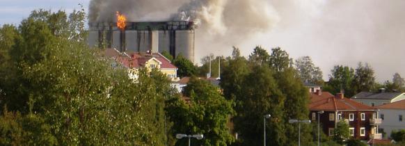 Bränder i lagrad pellets under 2012 i Sverige Typ av industri Typ av lager Orsak Pelletsproducent Lager Självantändning Annan industri Silo Okänd, glödbrand i silo Pelletsproducent Silo