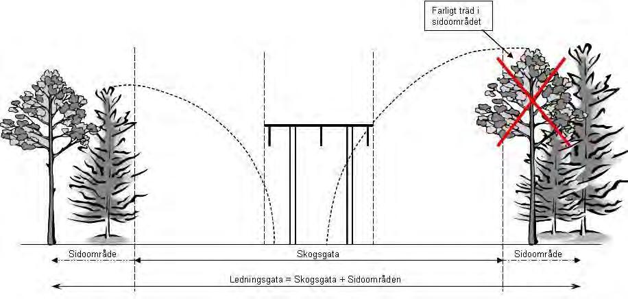 Figur 3. Principskiss för ledningsgata, skogsgata och sidoområden med farliga kantträd. 4 Förutsättningar 4.